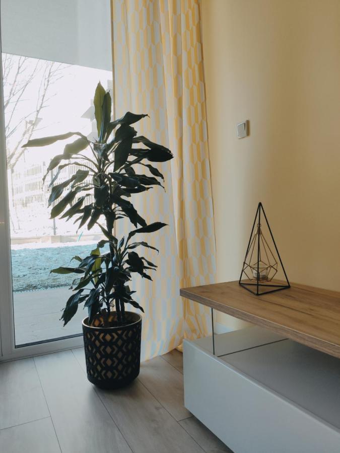 Przytulny Apartament Z Ogrodkiem Krakov Exteriér fotografie