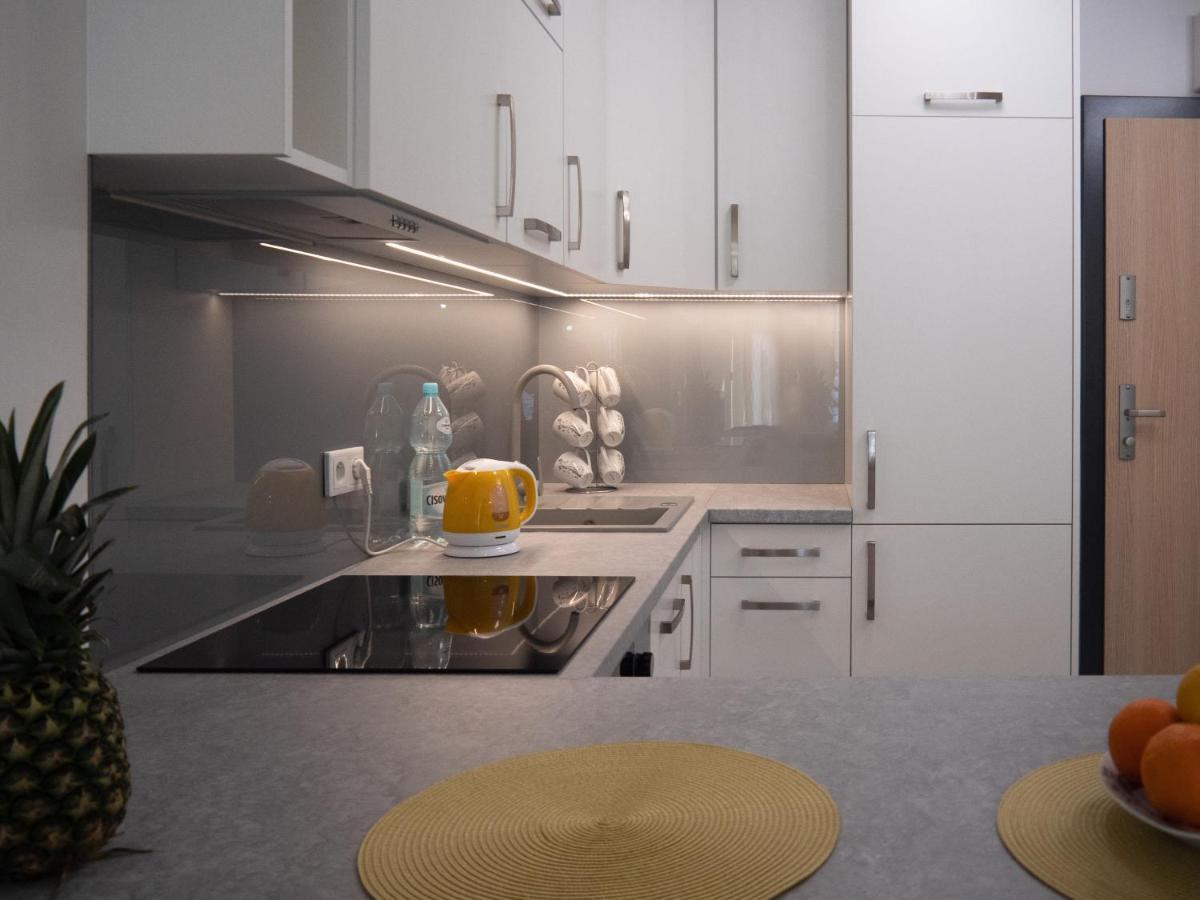 Przytulny Apartament Z Ogrodkiem Krakov Exteriér fotografie